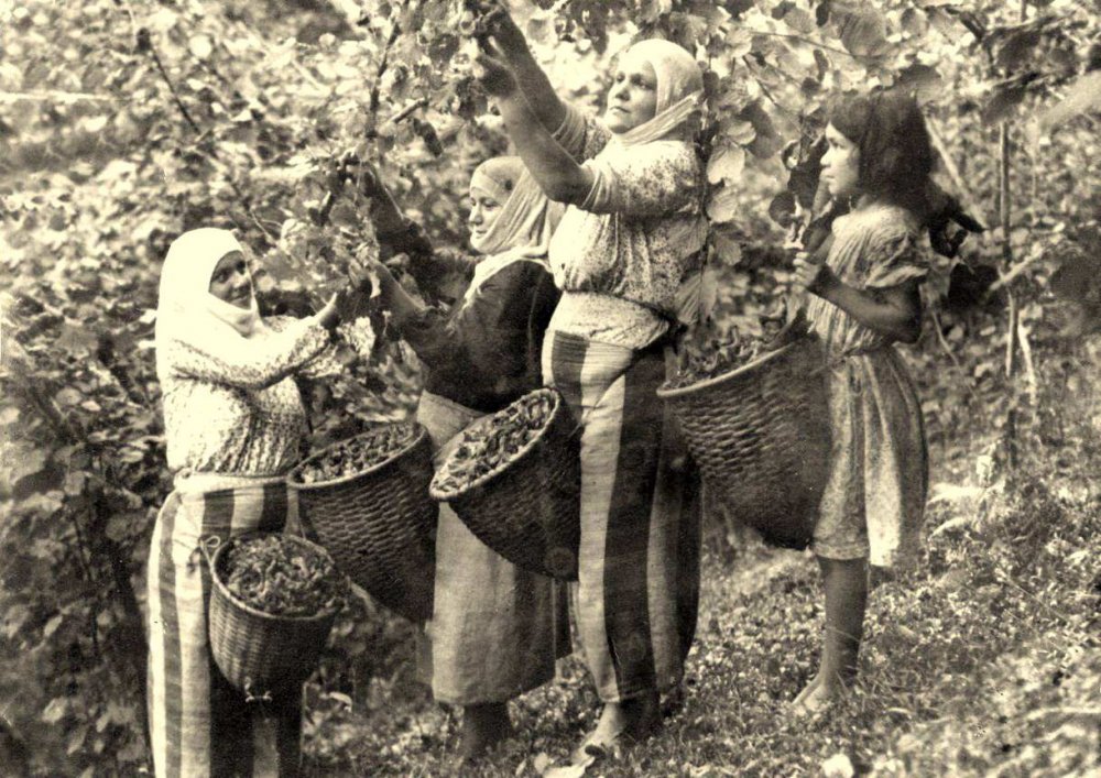 Tarihçe