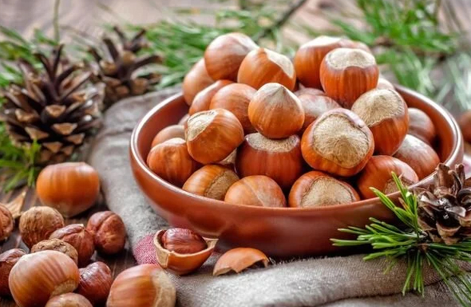 Fındığın Sağlığa Faydaları: Doğanın Şifa Kaynağı